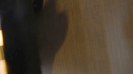 Licking Ass For Free
