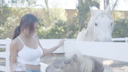 Cohf Daisy Whole Scene