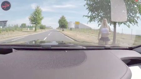 South American Cock Suckers