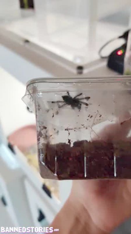 Oung Teens First Cock