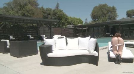 Se Yankees 1 Of 2 Bed