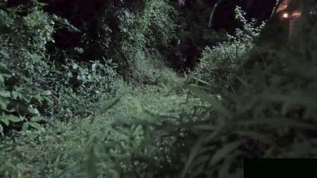 Doesnt Want Cream Pie